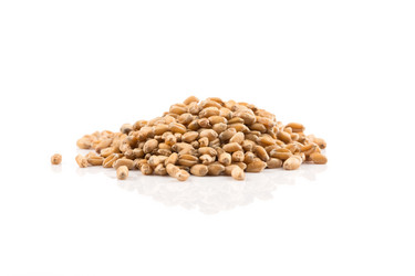 Similar image 13059996