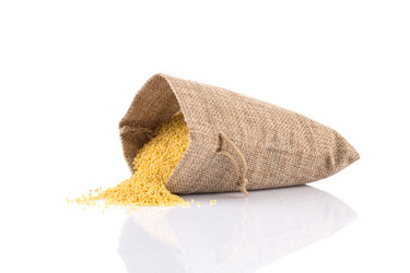 Similar image 13060012