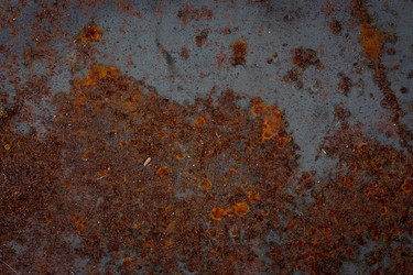 Similar image 13060015