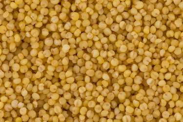 Similar image 13060032