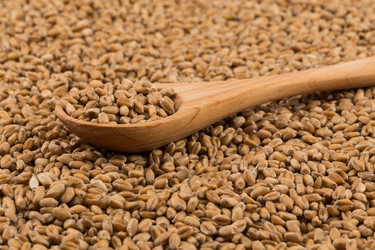 Similar image 13060033