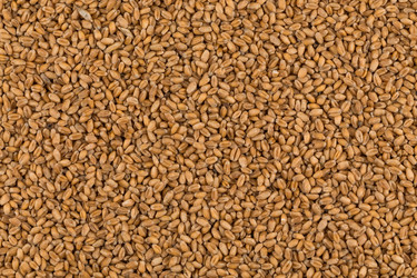 Similar image 13060034