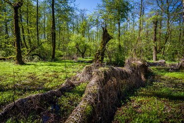 Similar image 13062161