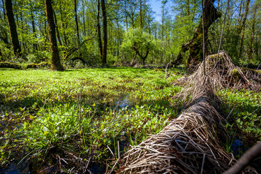 Similar image 13062162