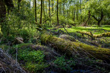 Similar image 13062165