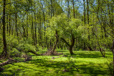 Similar image 13062166