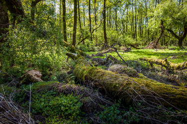 Similar image 13062167