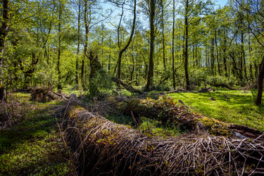 Similar image 13061621