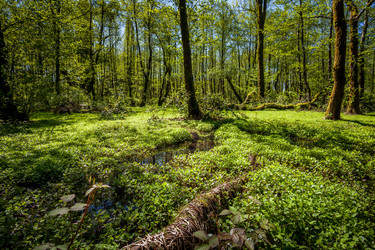 Similar image 13061624