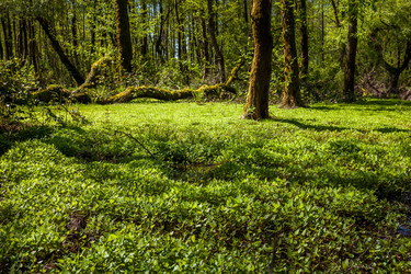 Similar image 13061625