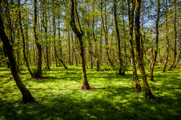 Similar image 13061626