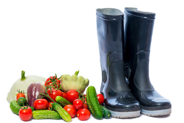 Similar image 13063178