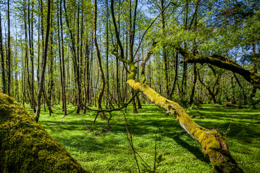 Similar image 13061698