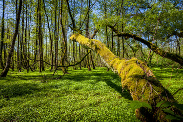 Similar image 13061742