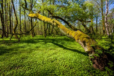 Similar image 13061744