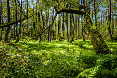 Similar image 13061746