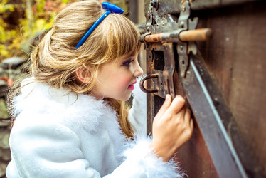 Similar image 13008237