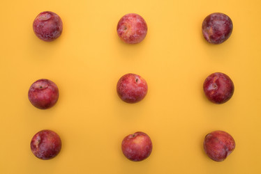 Similar image 13003571