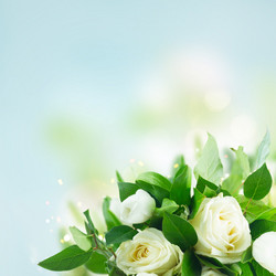 Similar image 13023506