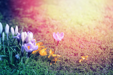 Similar image 13064660