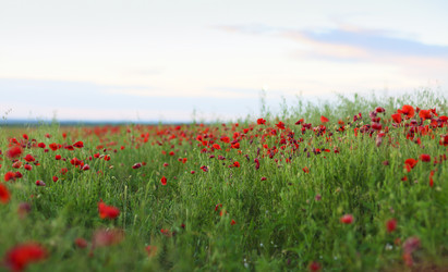 Similar image 13005770