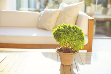 Similar image 13005803