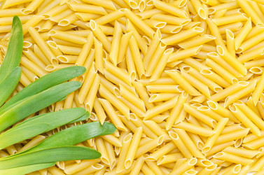 Similar image 13045249