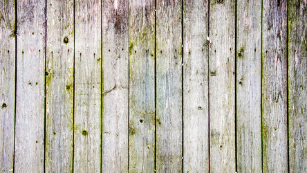 Similar image 13002098