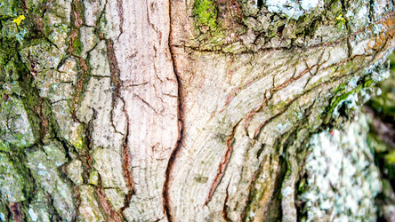 Similar image 13002118