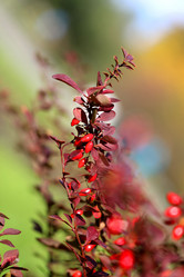 Similar image 13064719