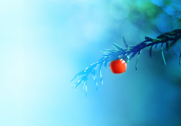 Similar image 13064799