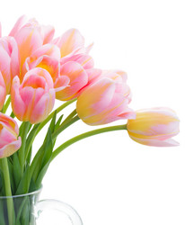 Similar image 13023643