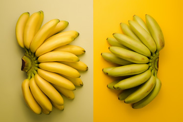 Similar image 13003493