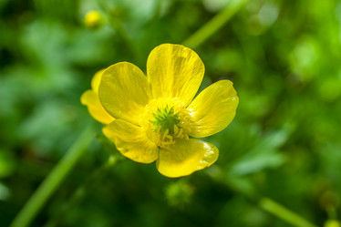 Similar image 13062016