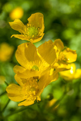 Similar image 13062047