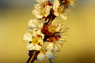 Similar image 13024846