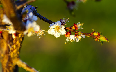 Similar image 13007847