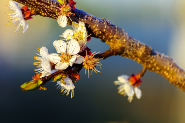 Similar image 13013056