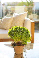 Similar image 13005752