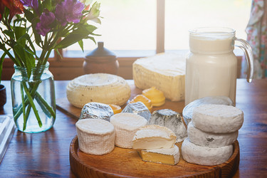 Similar image 13036061