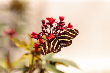 Similar image 13051669