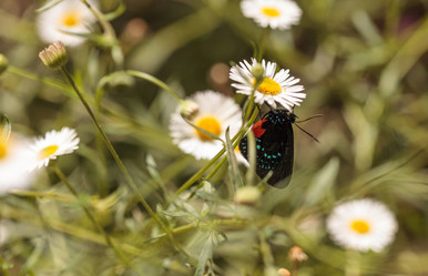 Similar image 13051671