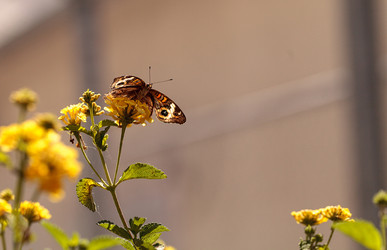 Similar image 13051674