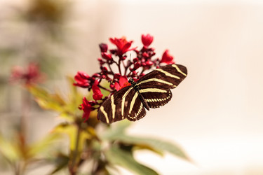 Similar image 13051692