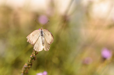 Similar image 13051693