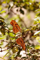 Similar image 13051730