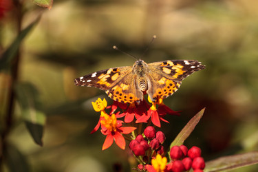 Similar image 13002356