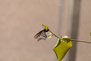 Similar image 13051982