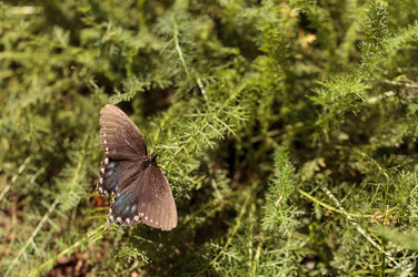 Similar image 13051983