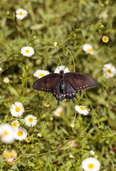 Similar image 13051984